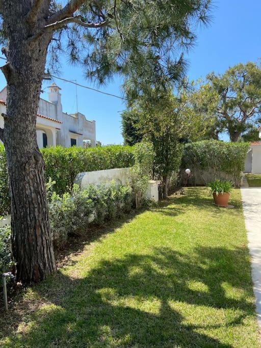 Villa A Marina Di Остуни Экстерьер фото
